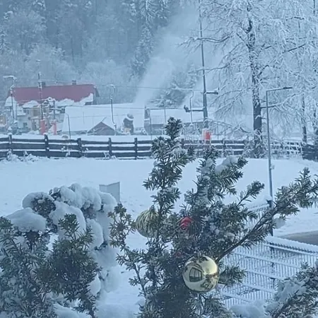 Przy Stoku Pod Lasem I Z Tarasem - Powrocisz Tu Hillside