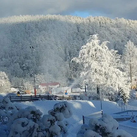 Przy Stoku Pod Lasem I Z Tarasem - Powrócisz Tu Hillside